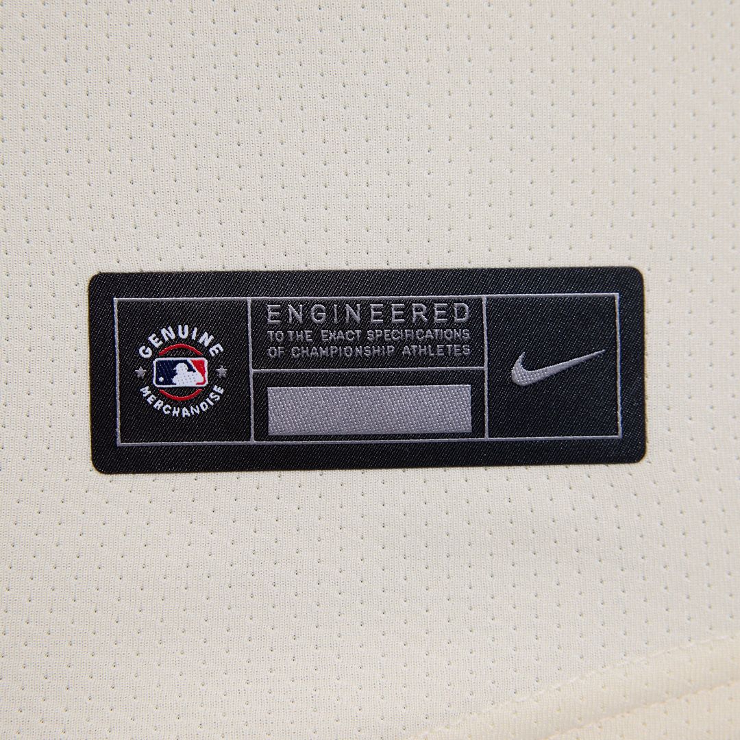 Ryan Howard Philadelphia Phillies Nike Women's Alternate Limited Jersey - Light Blue
